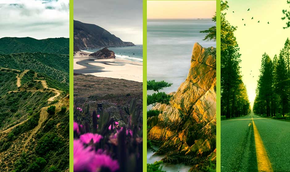 Discover the Premier Meditation Retreats in California (USA) for 2024 