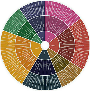 The Feelings Wheel: Understand Your Emotions 