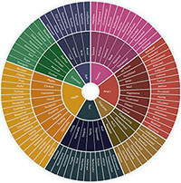 The Feelings Wheel: Understand Your Emotions